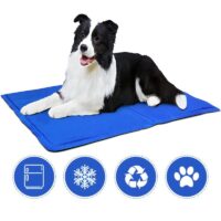 Tapis rafraîchissant chien bleu pour été 2
