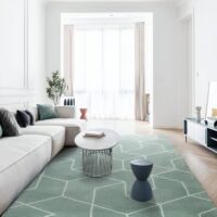 Tapis vert d'eau shaggy motifs géométrique