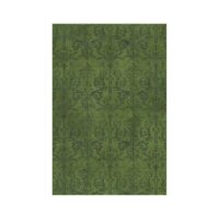 Tapis 200x300 persan vert avec motifs ethniques LANMUI