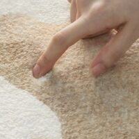 Tapis beige rond doux avec poils courts motifs naturels et floraux KEDAS