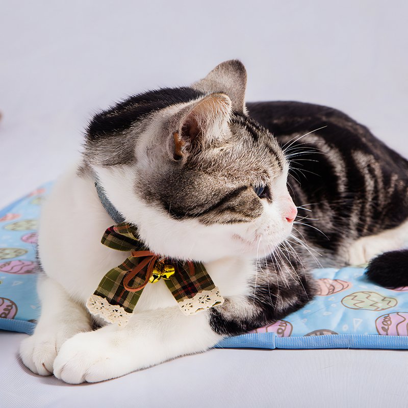 Tapis rafraîchissant chat bleu rectangulaire lavable motifs oeufs