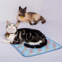 Tapis rafraîchissant chat bleu rectangulaire lavable motifs oeufs