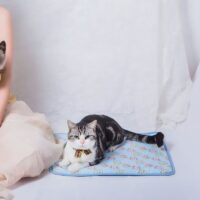 Tapis rafraîchissant chat bleu rectangulaire lavable motifs oeufs