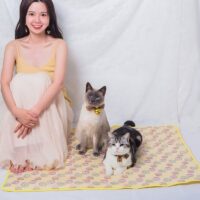 Tapis rafraîchissant chat jaune rectangulaire lavable motifs oeufs