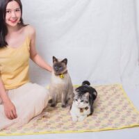 Tapis rafraîchissant chat jaune rectangulaire lavable motifs oeufs