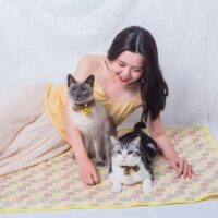 Tapis rafraîchissant chat jaune rectangulaire lavable motifs oeufs