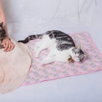 Tapis rafraîchissant chat rose rectangulaire lavable motifs lapins