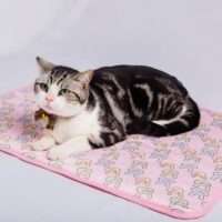 Tapis rafraîchissant chat rose rectangulaire lavable motifs lapins