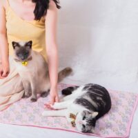 Tapis rafraîchissant chat rose rectangulaire lavable motifs lapins