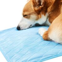 Tapis rafraîchissant chien bleu imperméable pour été et fraîcheur