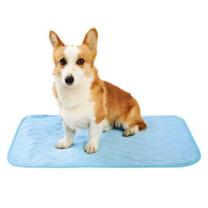 Tapis rafraîchissant chien bleu imperméable pour été et fraîcheur