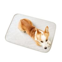 Tapis rafraîchissant chien gris imperméable pour été et fraîcheur