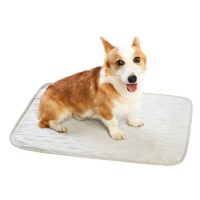Tapis rafraîchissant chien gris imperméable pour été et fraîcheur