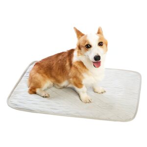 Tapis rafraîchissant chien gris imperméable pour été et fraîcheur