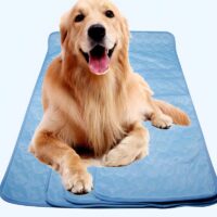 Tapis rafraîchissant chien rectangulaire lavable et imperméable pour été